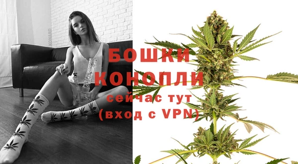 бошки Мегион